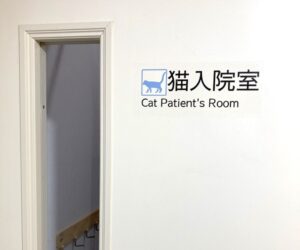 猫舎入口