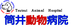 筒井動物病院